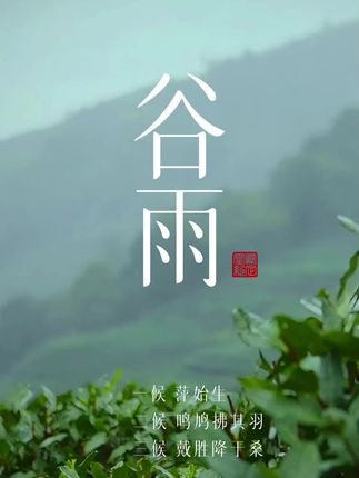 春山谷雨前，并手摘芳烟谷雨过后无再寒人间芳菲已向暖