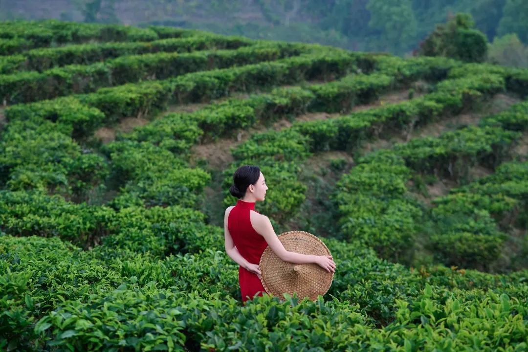 1712027294712410.jpg 2.webp (1).jpg