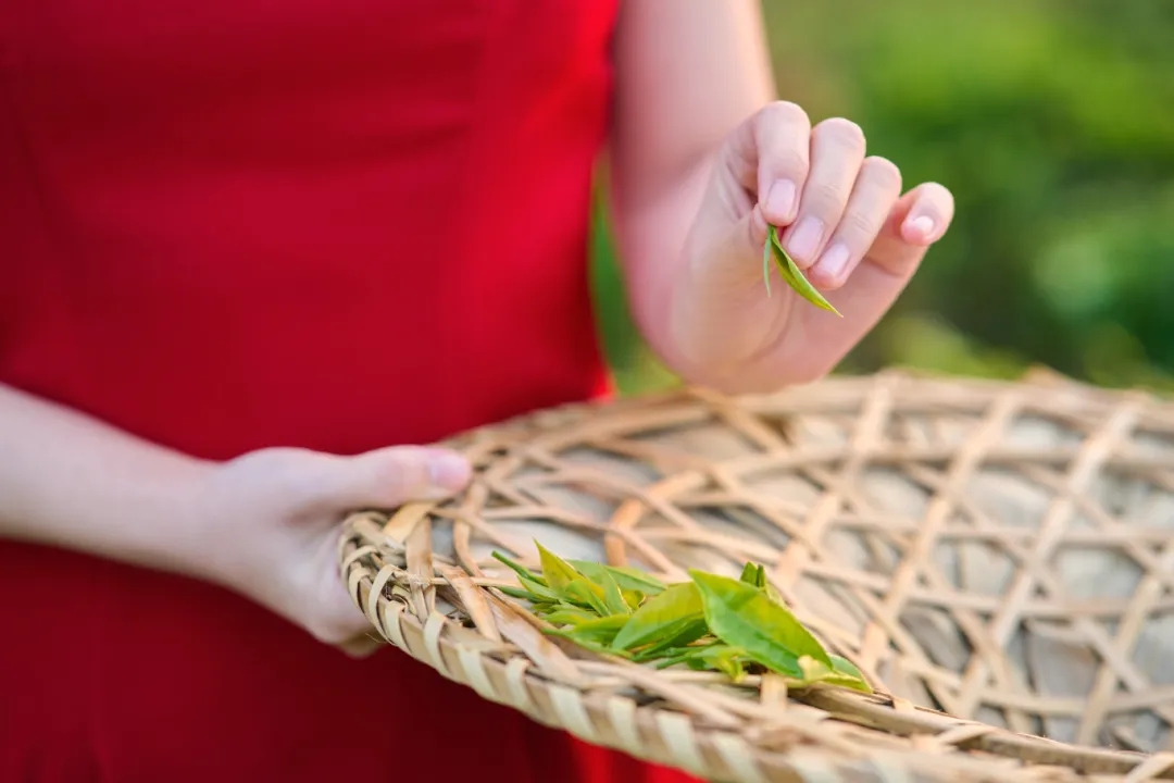 1712027312555381.jpg 3.webp.jpg