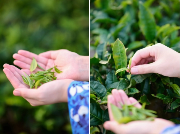 1712027423796381.png 7.png