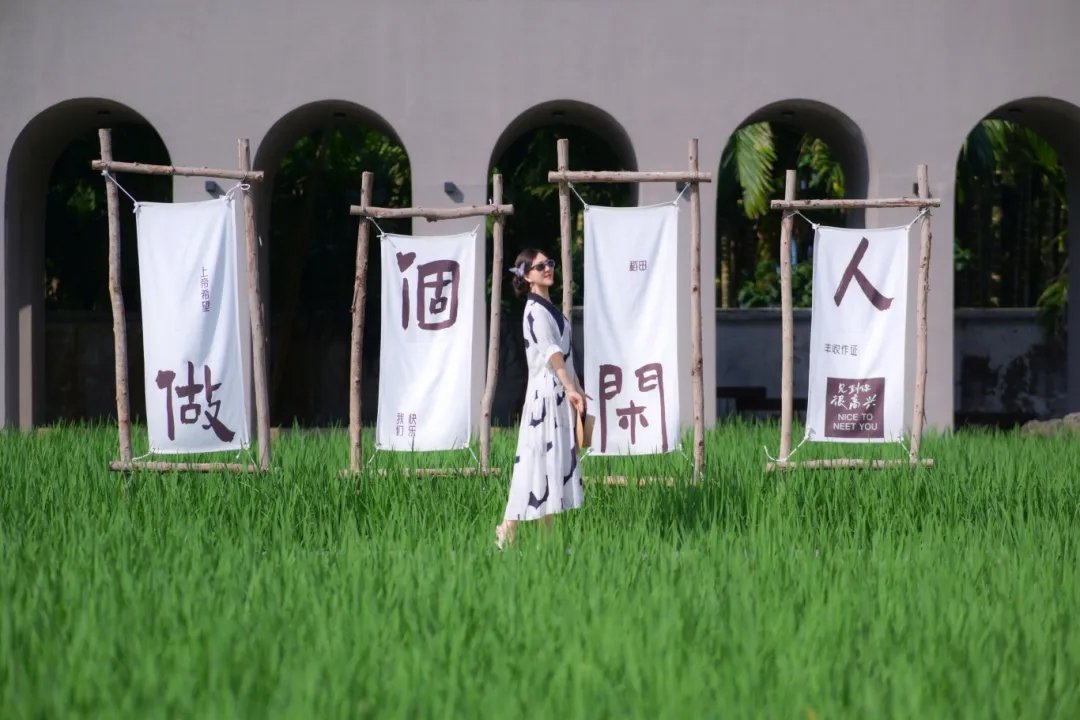 未标题-2.jpg